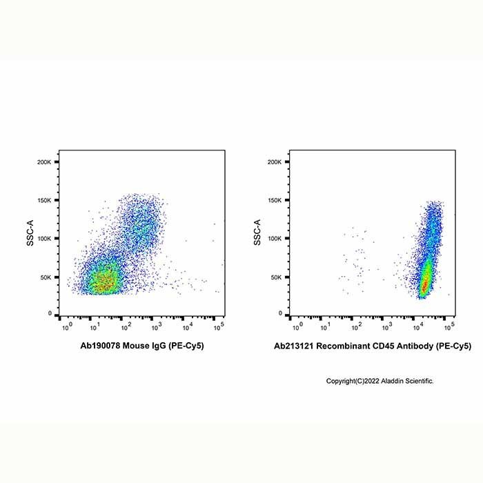 Recombinant CD45 Antibody (PE-Cy5)