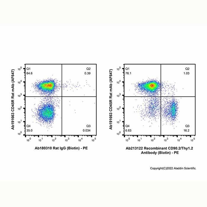 Recombinant CD90.2/Thy1.2 Antibody (Biotin)