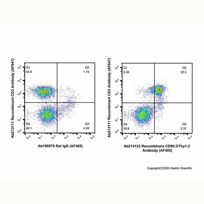 Recombinant CD90.2/Thy1.2 Antibody (AF405)