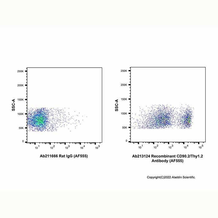Recombinant CD90.2/Thy1.2 Antibody (AF555)