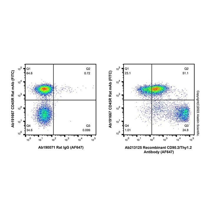 Recombinant CD90.2/Thy1.2 Antibody (AF647)