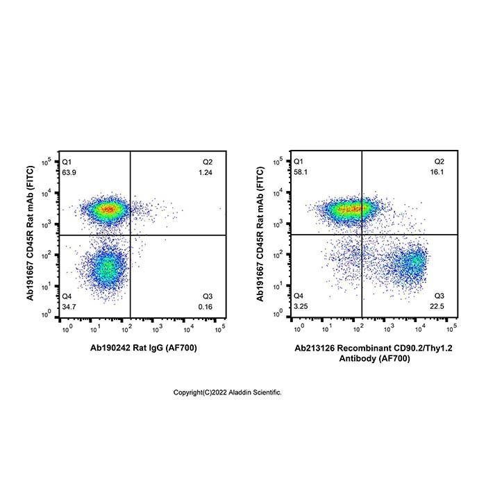 Recombinant CD90.2/Thy1.2 Antibody (AF700)