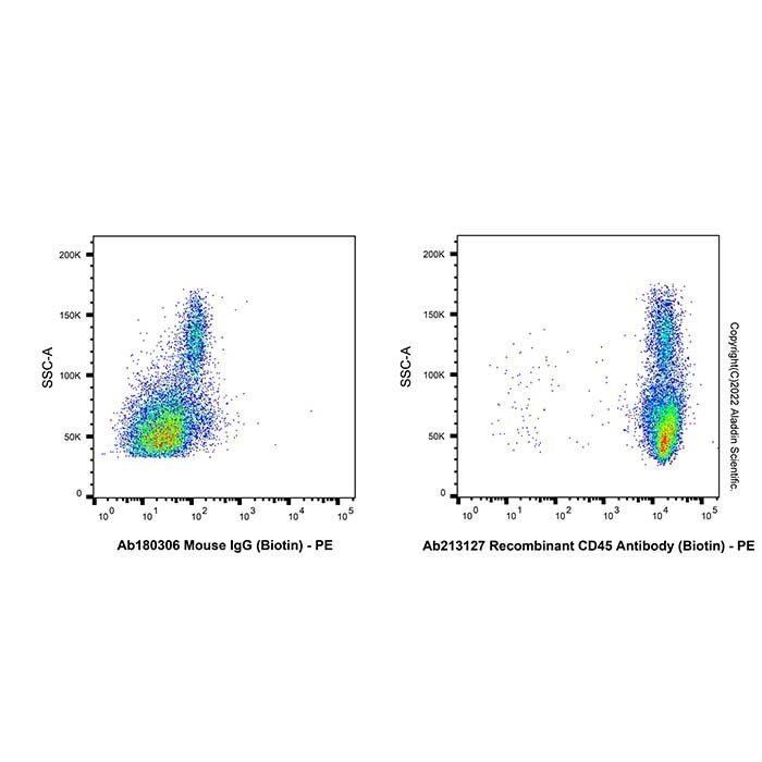 Recombinant CD45 Antibody (Biotin)