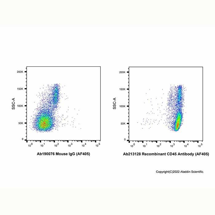 Recombinant CD45 Antibody (AF405)