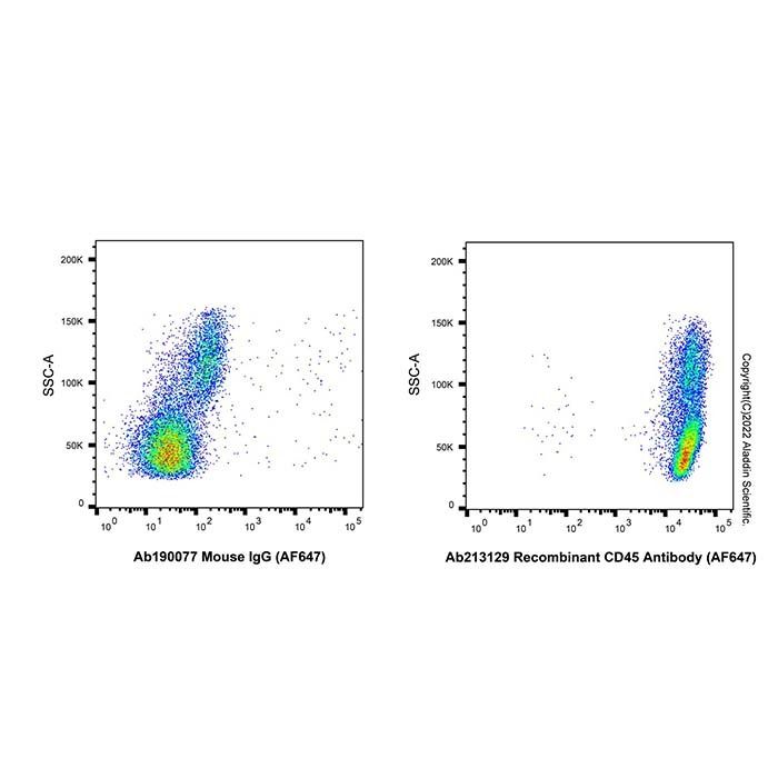 Recombinant CD45 Antibody (AF647)