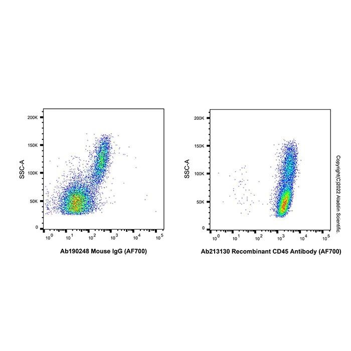 Recombinant CD45 Antibody (AF700)