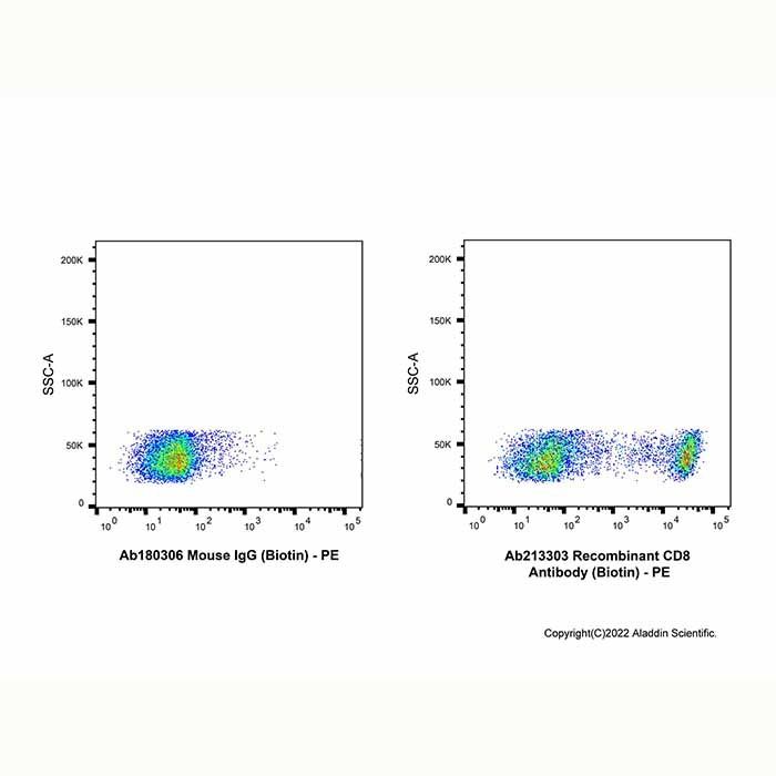 Recombinant CD8 Antibody (Biotin)