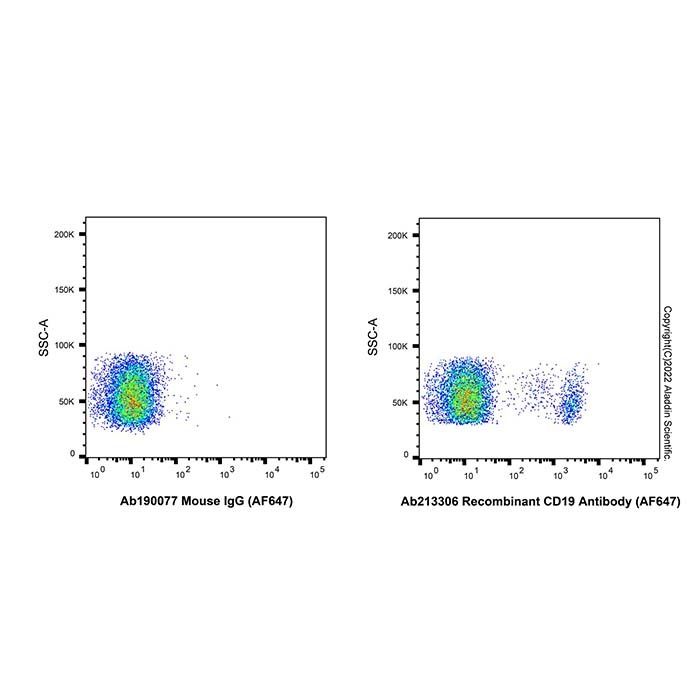 Recombinant CD19 Antibody (AF647)