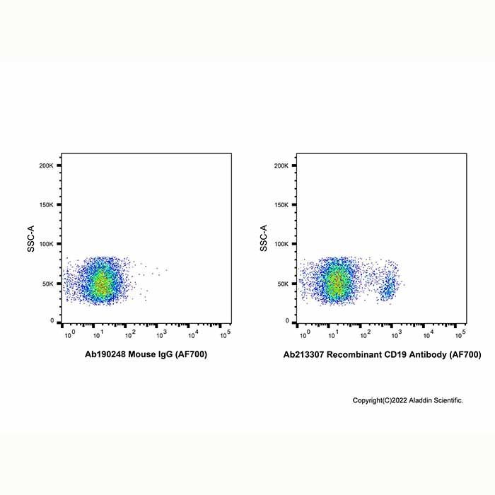 Recombinant CD19 Antibody (AF700)