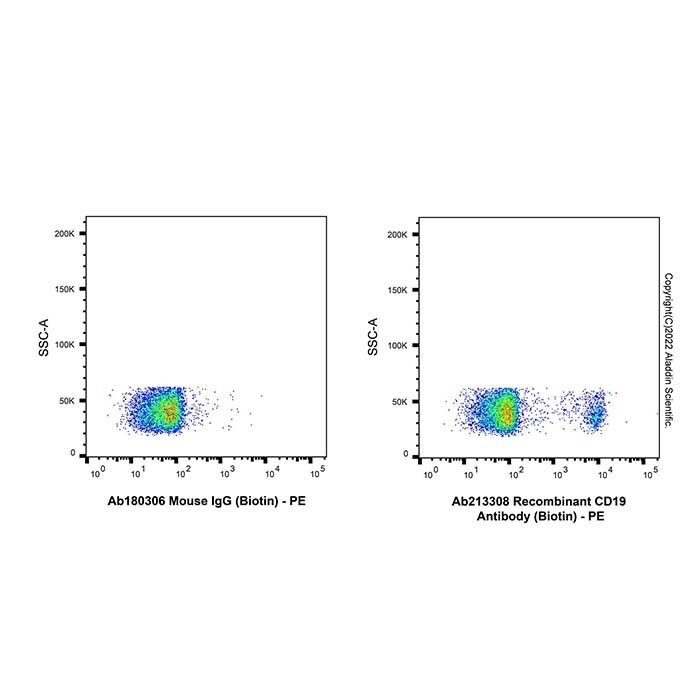 Recombinant CD19 Antibody (Biotin)