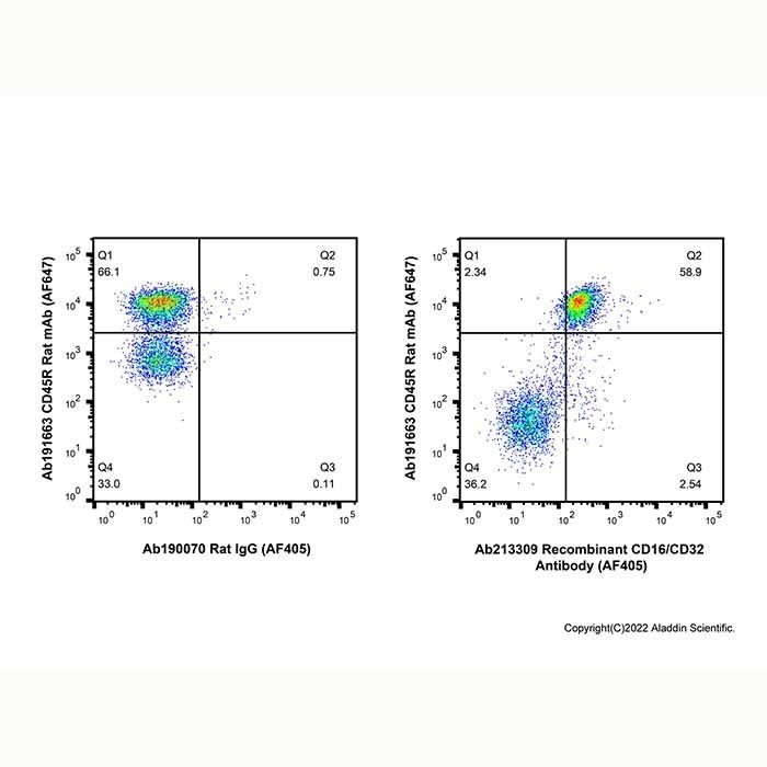 Recombinant CD16/CD32 Antibody (AF405)