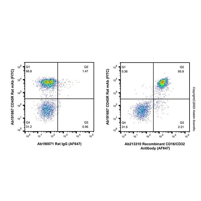 Recombinant CD16/CD32 Antibody (AF647)