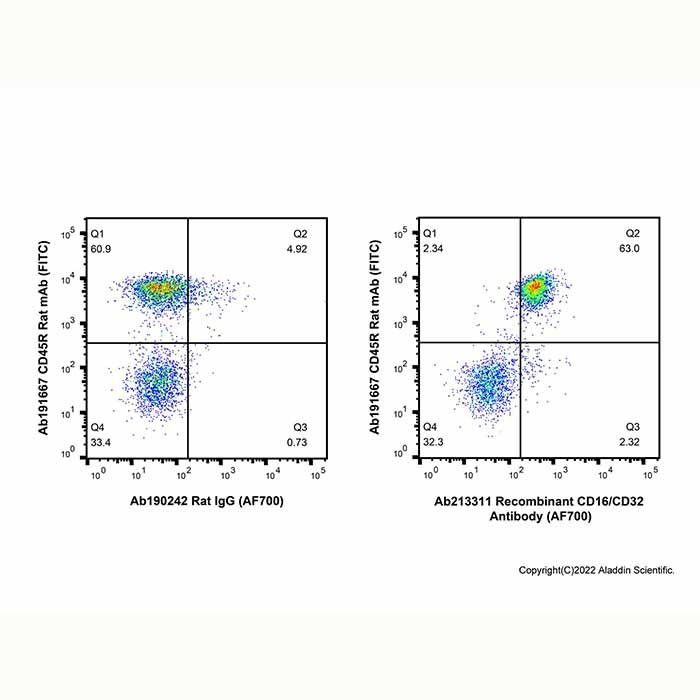 Recombinant CD16/CD32 Antibody (AF700)