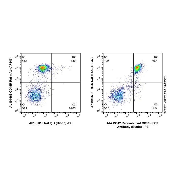 Recombinant CD16/CD32 Antibody (Biotin)