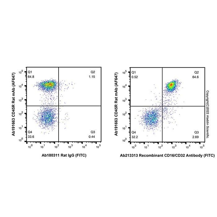 Recombinant CD16/CD32 Antibody (FITC)