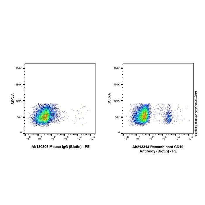 Recombinant CD19 Antibody (Biotin)