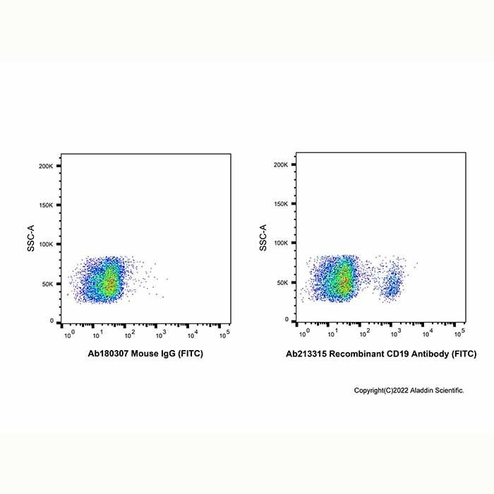 Recombinant CD19 Antibody (FITC)