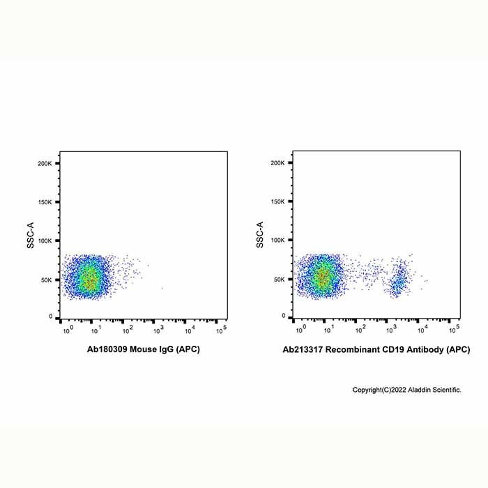 Recombinant CD19 Antibody (APC)
