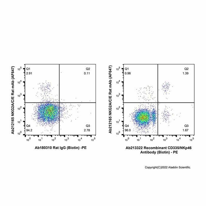 Recombinant CD335/NKp46 Antibody (Biotin)