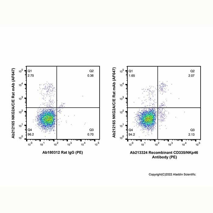 Recombinant CD335/NKp46 Antibody (PE)