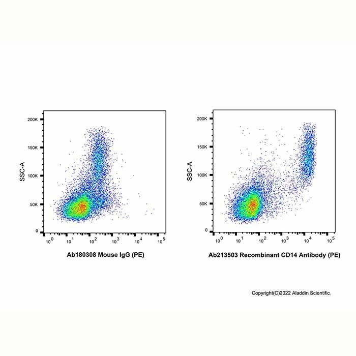 Recombinant CD14 Antibody (PE)
