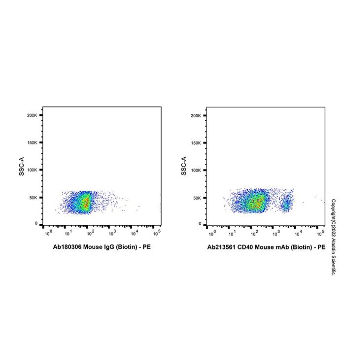 CD40 Mouse mAb (Biotin)