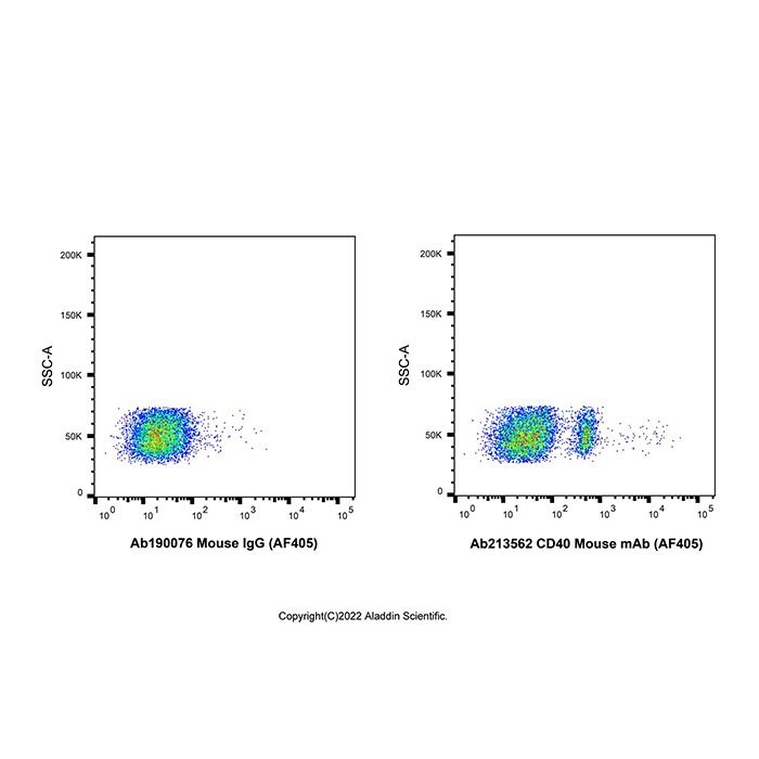 CD40 Mouse mAb (AF405)