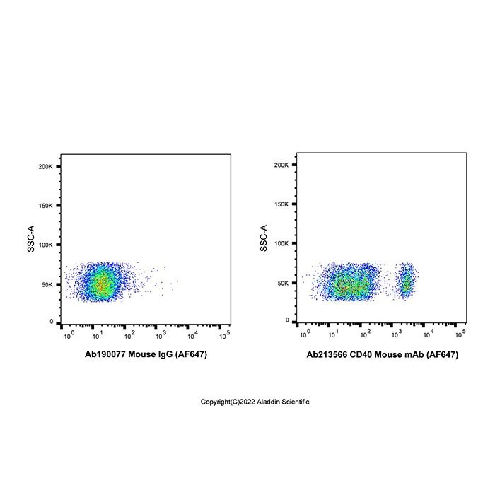 CD40 Mouse mAb (AF647)
