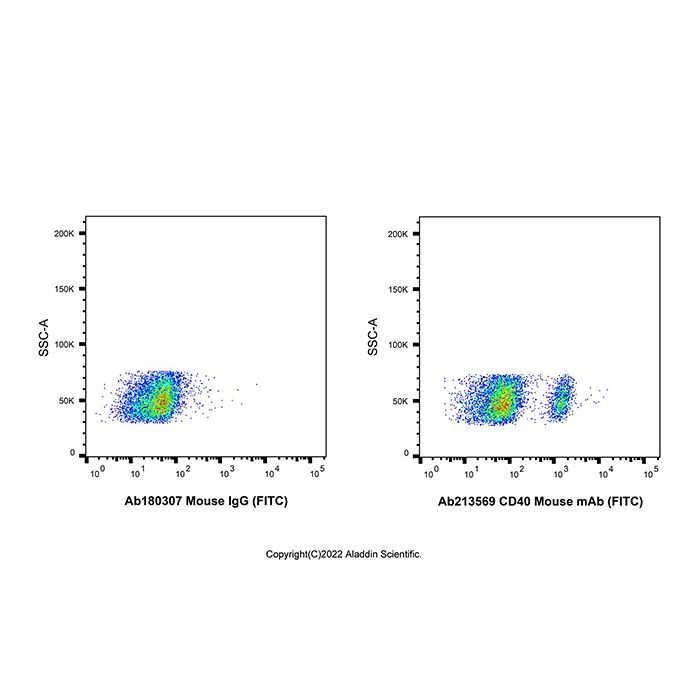 CD40 Mouse mAb (FITC)