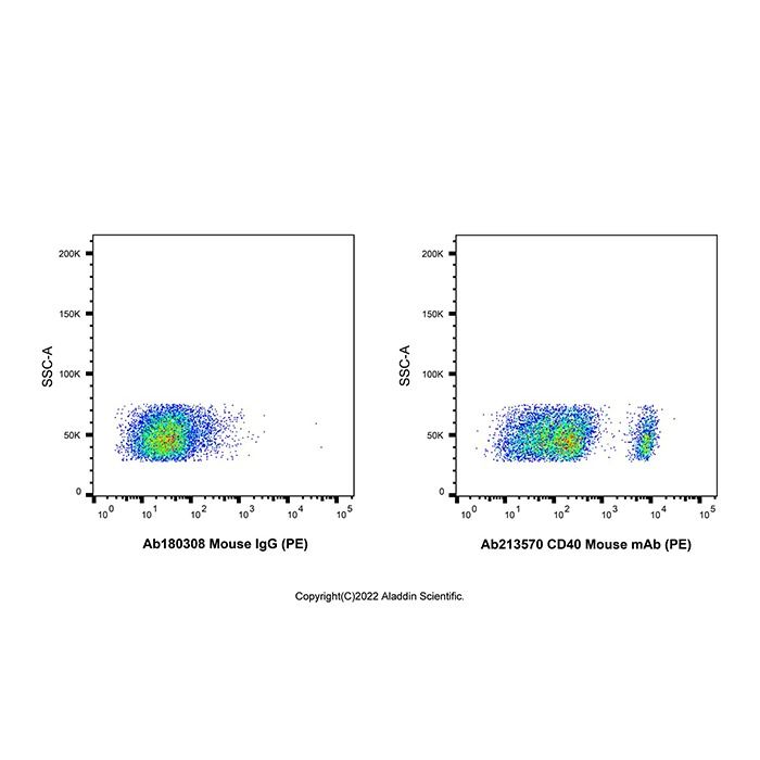 CD40 Mouse mAb (PE)