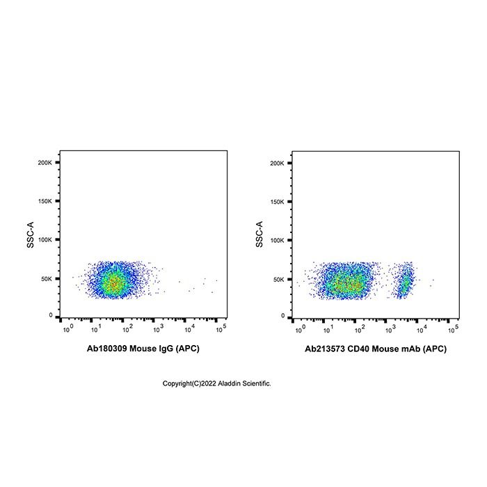 CD40 Mouse mAb (APC)
