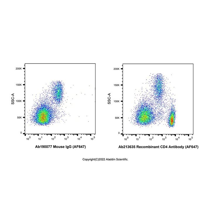 Recombinant CD4 Antibody (AF647)