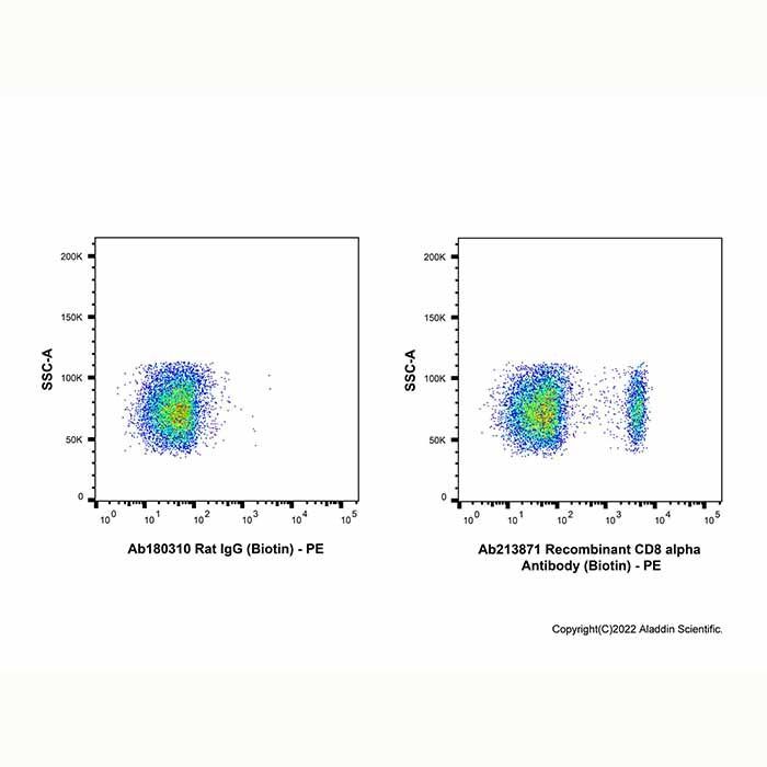 Recombinant CD8 alpha Antibody (Biotin)