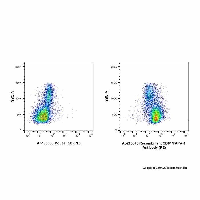Recombinant CD81/TAPA-1 Antibody (PE)