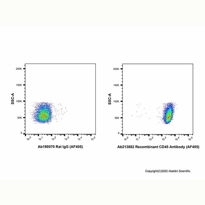 Recombinant CD45 Antibody (AF405)