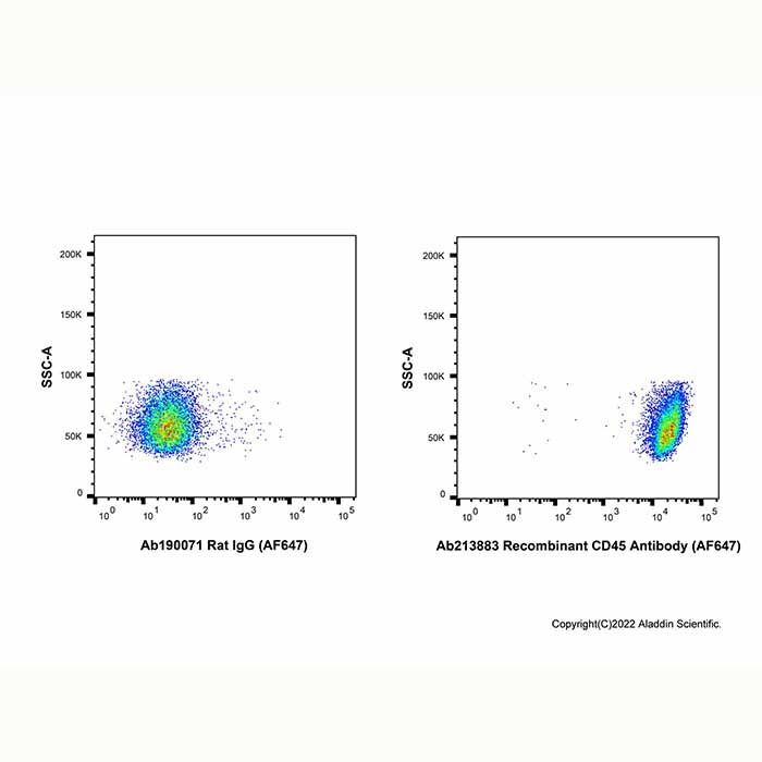 Recombinant CD45 Antibody (AF647)