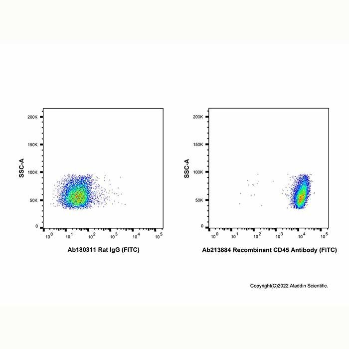 Recombinant CD45 Antibody (FITC)