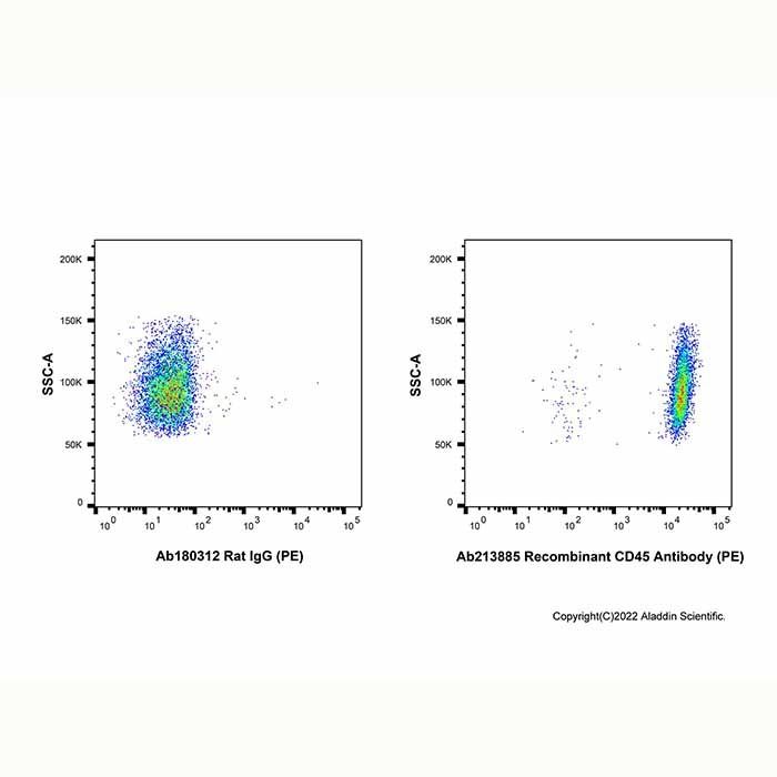Recombinant CD45 Antibody (PE)