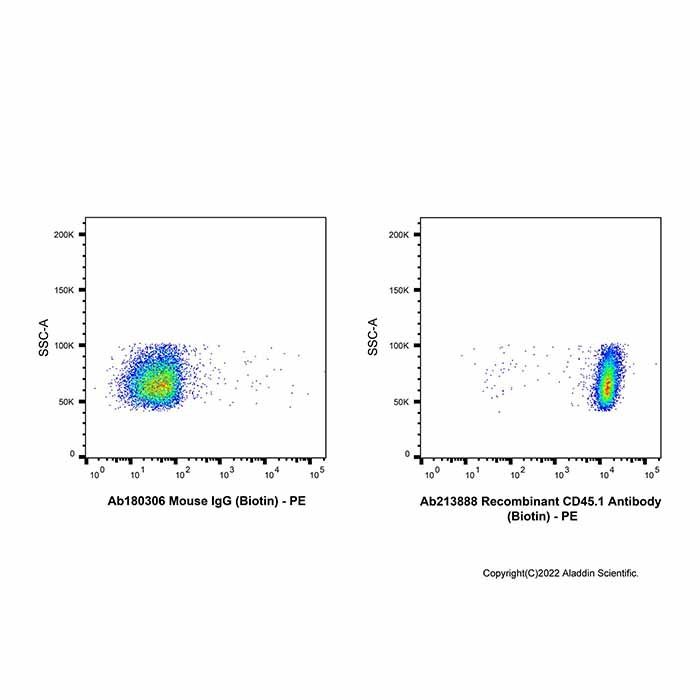 Recombinant CD45.1 Antibody (Biotin)