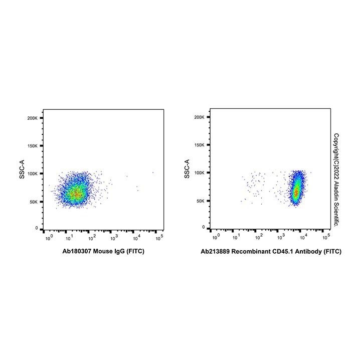 Recombinant CD45.1 Antibody (FITC)