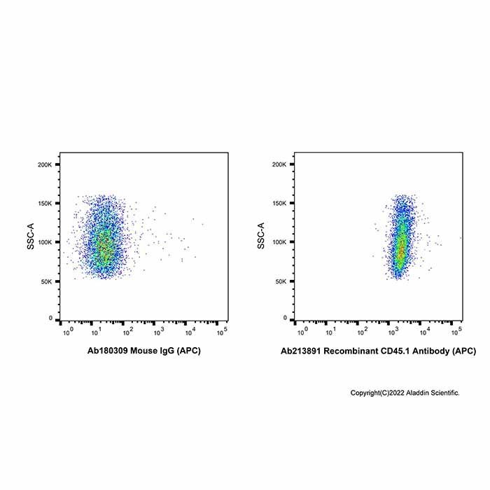 Recombinant CD45.1 Antibody (APC)