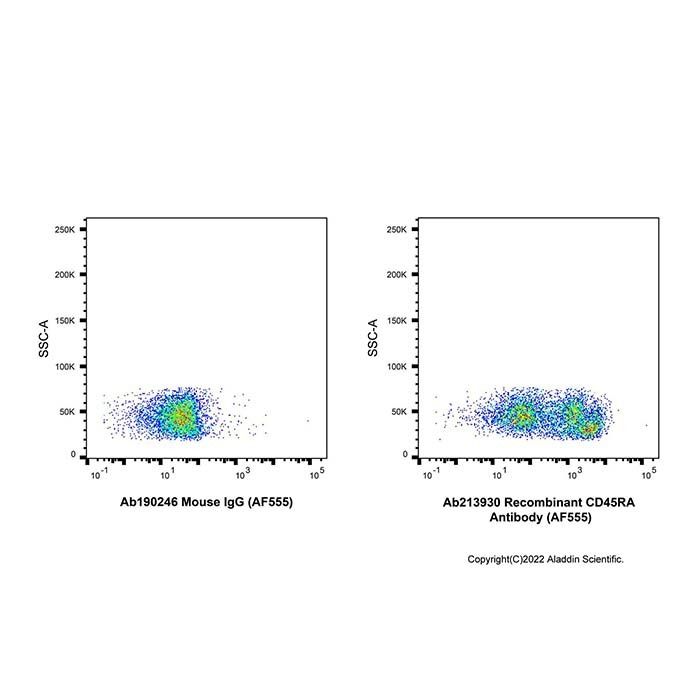 Recombinant CD45RA Antibody (AF555)