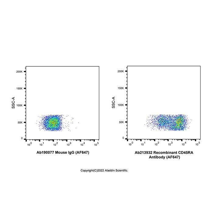 Recombinant CD45RA Antibody (AF647)