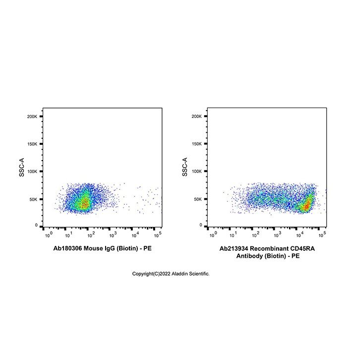 Recombinant CD45RA Antibody (Biotin)
