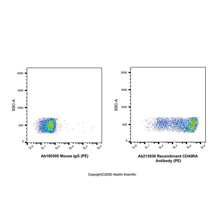 Recombinant CD45RA Antibody (PE)