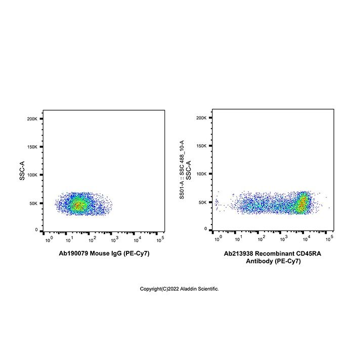 Recombinant CD45RA Antibody (PE-Cy7)