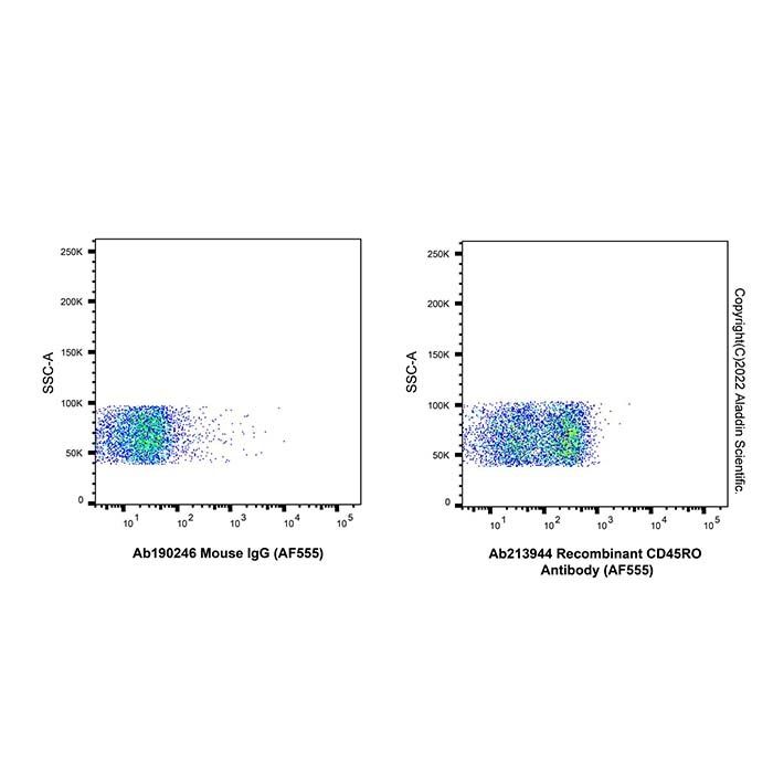 Recombinant CD45RO Antibody (AF555)