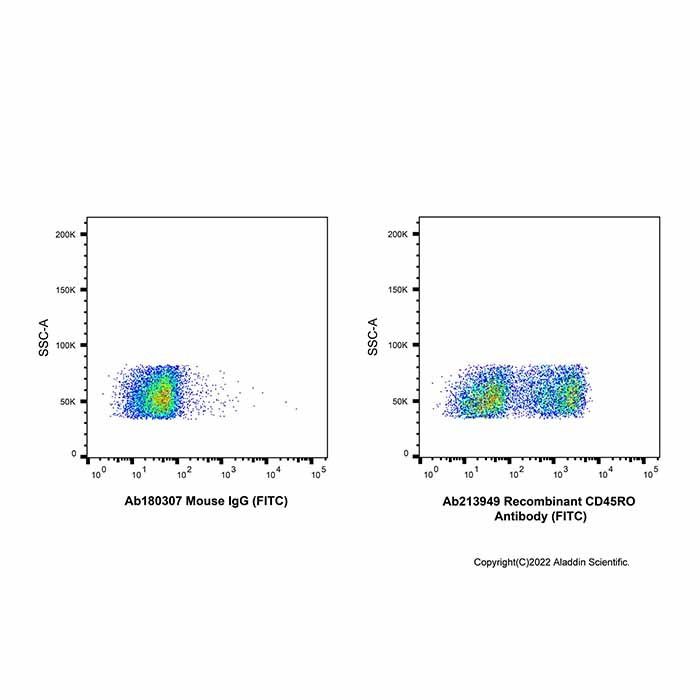 Recombinant CD45RO Antibody (FITC)