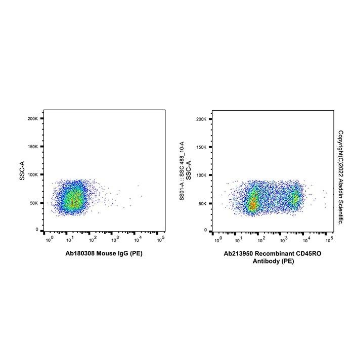 Recombinant CD45RO Antibody (PE)