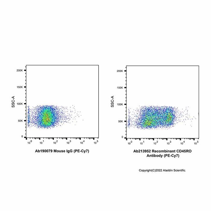 Recombinant CD45RO Antibody (PE-Cy7)